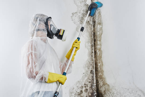 Best Post-Remediation Services in Checotah, OK