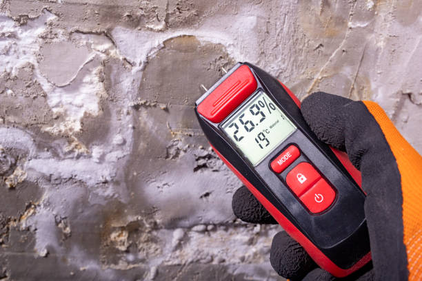 Best Crawl Space Mold Remediation in Checotah, OK